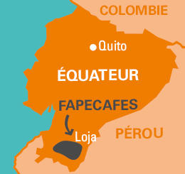Coopérative Fapcafes café Equateur
